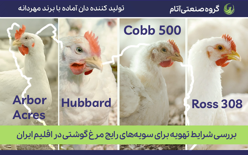 بررسی تهویه برای سویه‌های مرغ گوشتی در ایران